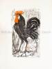 Der schwarze Hahn. Zweifarbige (schwarz-rot) Lithographie.. Fischer, Hans (1909–1958):