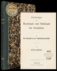 Beiträge zur Physiologie und Pathologie der Circulation. Der Kreislauf in der Schädelrückgratshöhle.