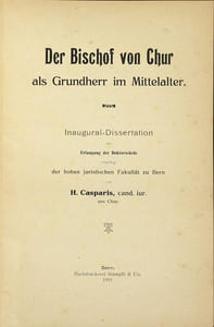 Der Bischof von Chur als Grundherr im Mittelalter.