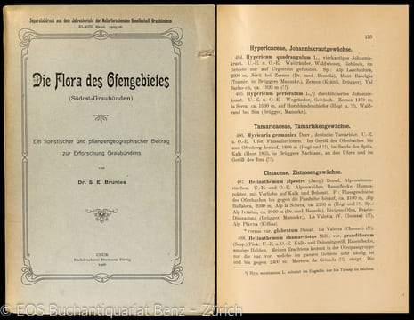 Die Flora des Ofengebietes (Südost-Graubünden) - Ein floristischer und pflanzengeographischer Beitrag zur Erforschung Graubündens.. Brunies, Stefan: