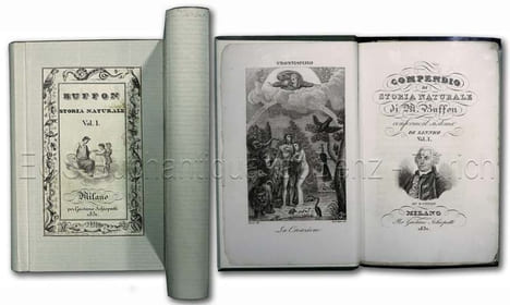Compendio di storia naturale. Conforme il sistema die Linneo.. Buffon, (Georges Louis Le Clerc de):