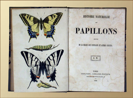 Histoire naturelle des papillons suivie de la chasse aux papillons et autres insectes.. Costan, Alf.: