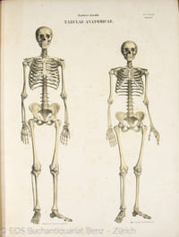 Tabulae anatomicae. Quas ad naturam accurate descriptas.