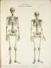 Tabulae anatomicae. Quas ad naturam accurate descriptas.. Arnold, Friedrich: