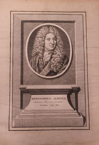 Dt. Mediziner (Anatom u. Chirurge)