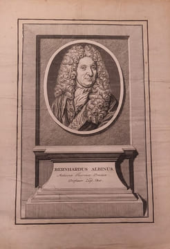 Dt. Mediziner (Anatom u. Chirurge). Albinus, Bernhard Siegrfied (1697-1770):