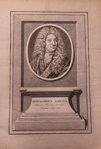Dt. Mediziner (Anatom u. Chirurge)