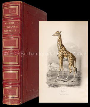 Galerie d'histoire naturelle tirée des oeuvres complètes de Buffon. Ornée de trente-deux gravures sur acier d'après les dessins de MM. Traviès et ...