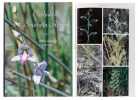 Orchids of Southern Africa.. Linder, H(ans) P(eter) u. Kurzweil, H.: