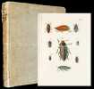 Archiv der Insectengeschichte. Herausgegeben von Johann Caspar Füessly.. Füssli, Johann Caspar: