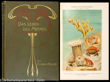 Das Leben des Meeres.. Keller, Conrad: