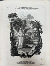 Pars I (-X) des berühmten Italianischen Ritters, Caesaris Ripae, zu allerley Künsten, und Wissenschaften, dienlich seyender Sinbildern, und Gedancken, welchen jedesmahlen eine hierzu taugliche Historiam, oder Gleichnis, beygefüget