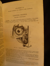Traité des maladies des yeux