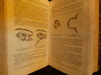 Traité des maladies des yeux