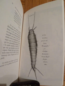 Les livres et leurs ennemis. Blades William