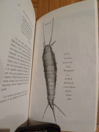 Les livres et leurs ennemis