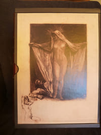 Les fleurs du mal