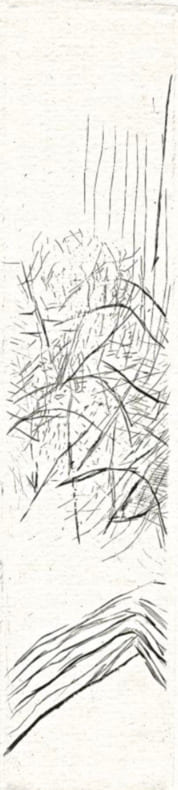 Almanach Tal Coat