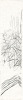 Almanach Tal Coat
. BENADOR Jacques, SARTO Pietro
TAL COAT Pierre

