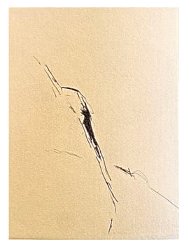 Oppure il sole
. BOUCHET André du;
TAL COAT Pierre