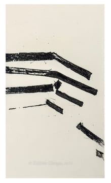 Surface d’écueil
. DENIS Philippe;
TAL COAT Pierre
