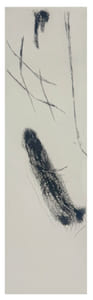 Deux traces vertes