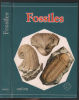 Fossiles. Rudolf Prokop