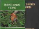 Proboscis monkeys oh Bornéo. Bennet   Gombek