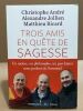 Trois amis en quête de sagesse. Andre Christophe / Jollien Alexandre / Ricard Matthieu