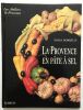 La Provence en pâte à sel. Borrelly S