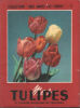 Tumipes et plantes bulbeuses de printemps. Collectif