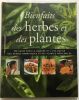 Bientfaits des herbes et des plantes : guide pour la culture des herbes aromatiques et des plantes médicinales. Jennie Harding