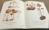 Petit atlas des champignons / tome 1 généralités et planches couleurs. Romagnesi Henri