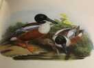 Les oiseaux d'europe / 2 tomes / reproductions en couleurs de John Gould's. Rutgers .A