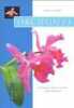 Orchidées: Comment les cultiver et les faire fleurir facilement. Bert Isabelle