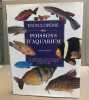 Encyclopédie des poissons d'aquarium. SANDFORD GINA