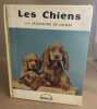 Les chiens nombreuses photographies en noir et couleurs. De Chimay Jacqueline