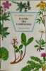 Fleurs de campagnes. Chistiansen/ Brunerye Luc
