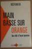 Main basse sur Orange - Une ville à l'heure lepéniste. Martin Roger