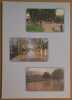 Avignon - Les inondations. Mazet Jean