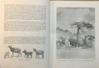 La corse dans l'histoire / illustrations de L.Antoni. Albitreccia