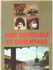 Asie centrale et orientale. Kielich