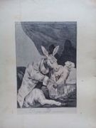 Image de livre