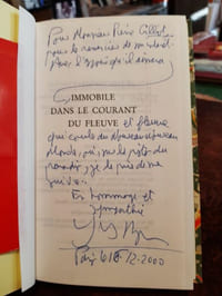 Immobile dans le courant du fleuve
