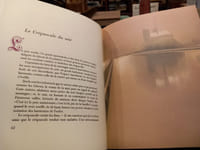 Le Spleen de Paris