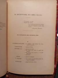 Dictionnaire des Idées recues