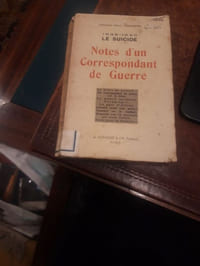 1939-1940: le suicide. Notes d'un correspondant de guerre