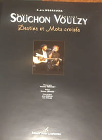 Alain Souchon et Laurent Voulzy, Destins et mots croisés