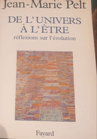 De l'Univers à l'Etre