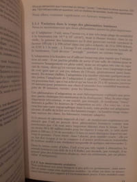L'image